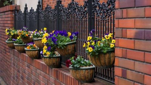 Ворота и забор в частном доме. Красивый забор для частного дома: интересные идеи, современные решения, стильное фото